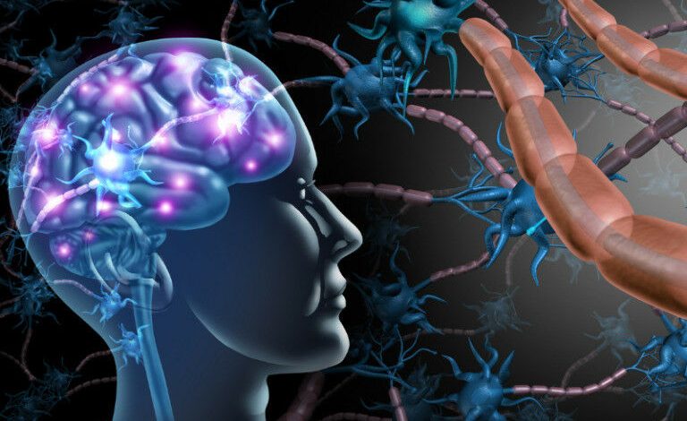 Conceito de anatomia das células nervosas do cérebro e do sistema nervoso como neurologia humana e ne