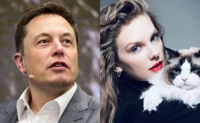 Taylor Swift's 'Childless Cat Lady' Post apoia Harris. Elon Musk responde