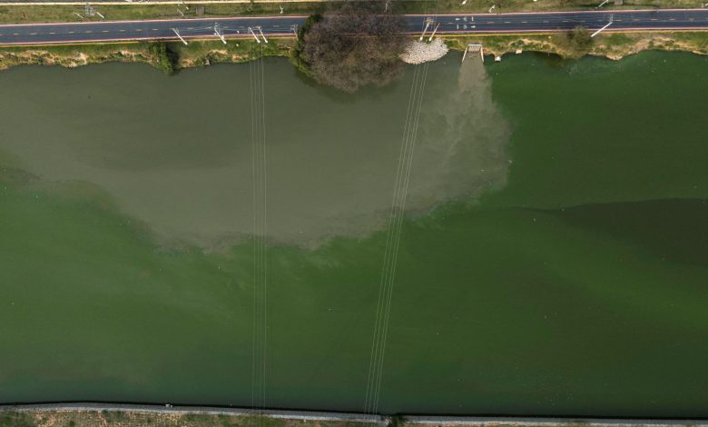 Vista aérea da poluição por algas no Rio Pinheiros, em São Paulo, Brasil, tirada em 9 de setembro de 2024.