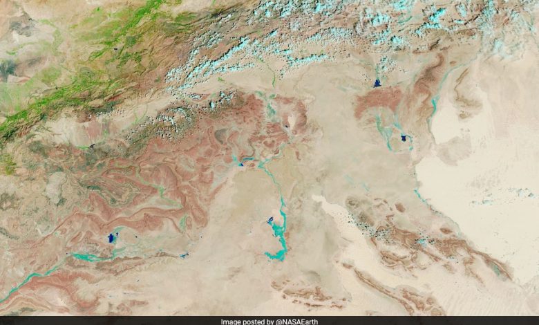 Deserto do Saara fica verde, NASA compartilha imagem impressionante de transformação