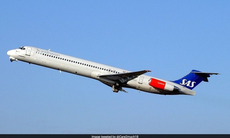 Voo da Scandinavian Airlines faz pouso de emergência após rato vivo ser encontrado em refeição