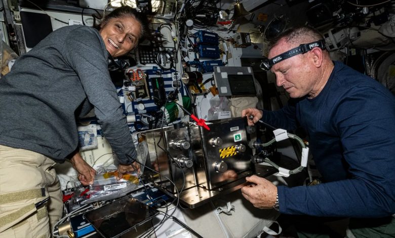 Sunita Williams 'encalhada' agora comanda a Estação Espacial Internacional