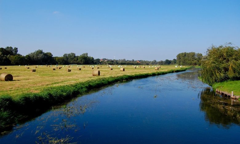 O mistério da batalha de 3.000 anos se desenrola no vale do rio Tollense, na Alemanha