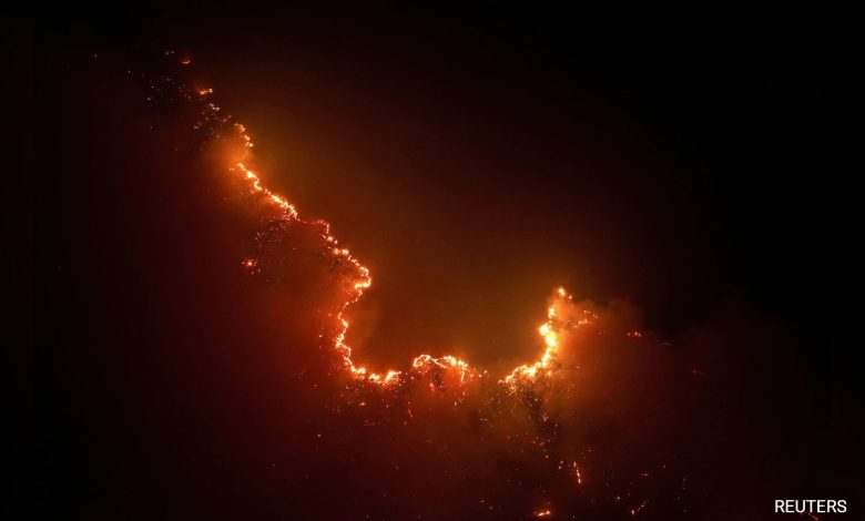 Incêndios na Floresta Amazônica do Brasil em agosto são os mais altos desde 2010