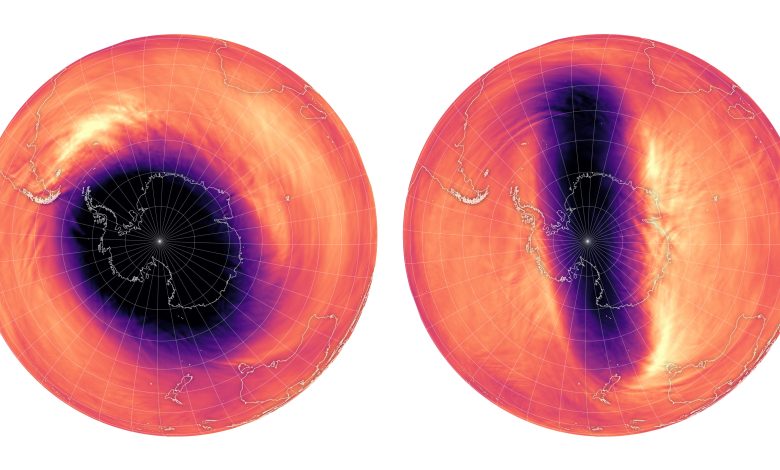 Dois diagramas da Terra mostrando o vórtice polar acima da Antártida em 2023 (esquerda) e 2024 (direita).