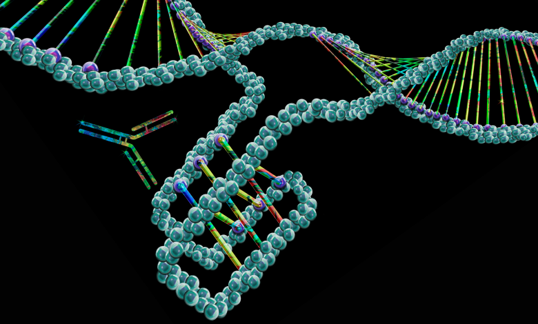 50.000 'nós' espalhados por todo o nosso DNA controlam a atividade dos genes