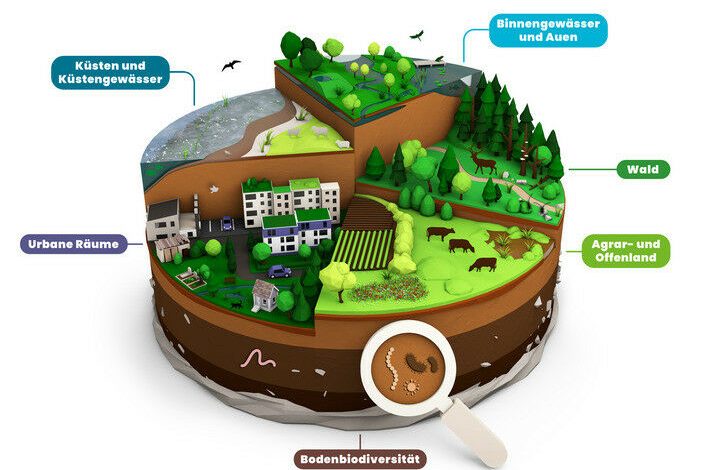 Habitats investigados na 'verificação de fatos sobre biodiversidade'. Foto: FEdA