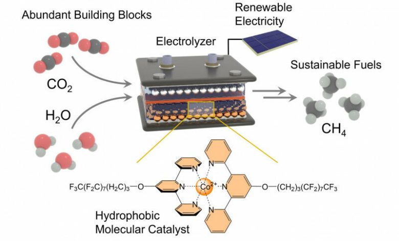 O catalisador molecular hidrofóbico (parte inferior) - mantém as moléculas de H2O no elemento