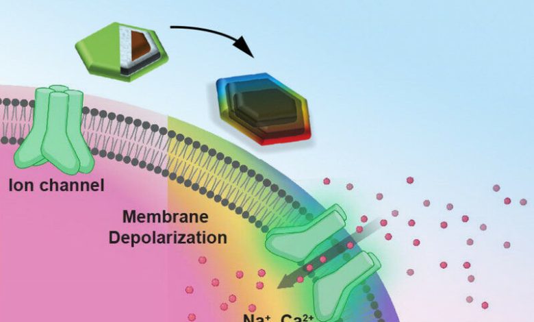 O núcleo magnético do nanodisco é magnetostritivo, o que significa que muda sh