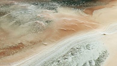 Uma vista de satélite de uma paisagem com dunas rodopiantes marrons e verdes