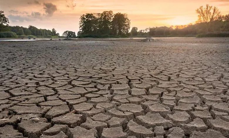 As alterações climáticas e a perda de biodiversidade devem ser abordadas em conjunto