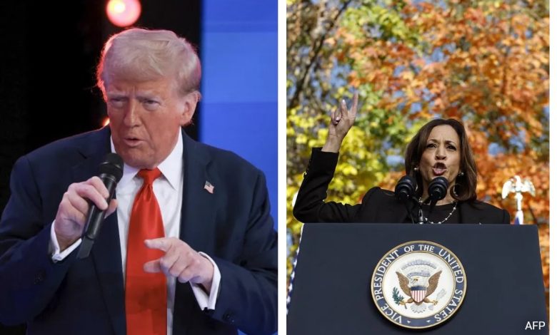 Harris, Trump Barnstorm Key State Michigan, onde as pesquisas dizem que estão empatados