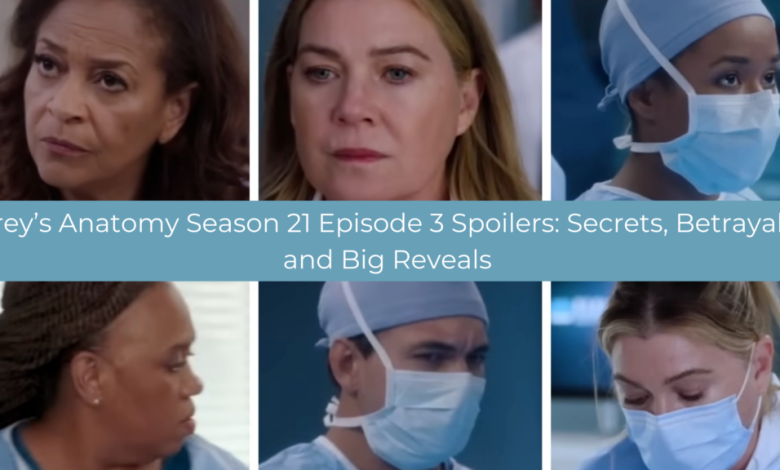 Foto principal de Grey's Anatomy, temporada 21, episódio 3, spoilers