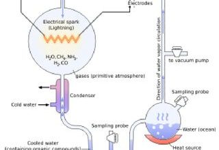 um diagrama do experimento Miller-Urey