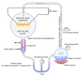 um diagrama do experimento Miller-Urey