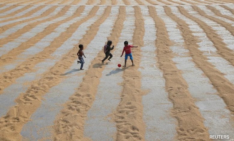 Crise hídrica ameaça metade da produção global de alimentos: relatório