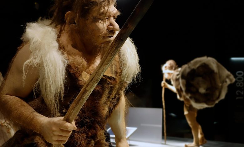 Os Neandertais usavam roupas?