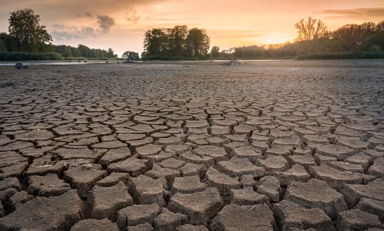 À medida que o planeta aquece, as secas são provavelmente o fator chave que leva as pessoas às cidades: estudo